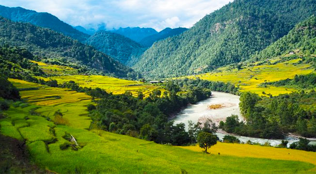 bhutan is carbon negative country